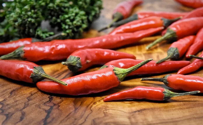 Comer chiles rojos podría prevenir la obesidad