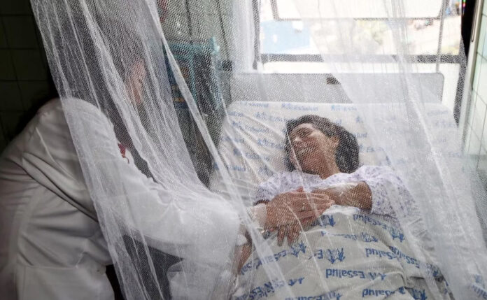 Declaran alerta epidemiológica por dengue en Perú
