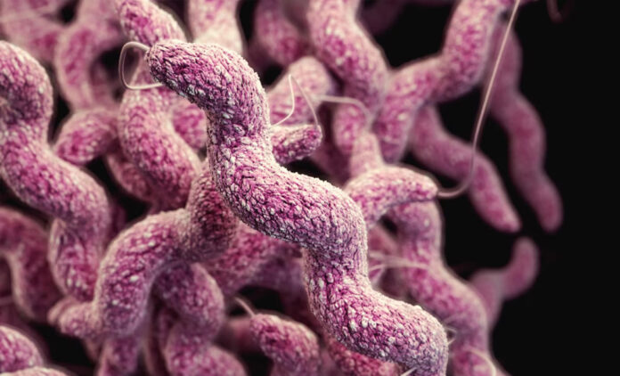 Alerta en Japón por cerca de mil de casos de la bacteria 